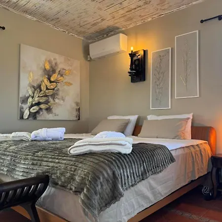 Boyana & Relax With Hot Jacuzzi And Sauna By Bookvillabg וילה סופיה