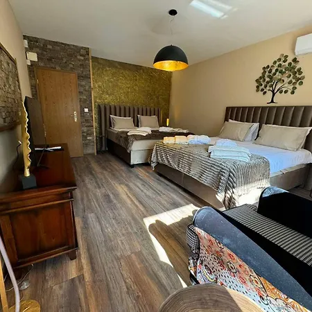 Boyana & Relax Villa Sofia
