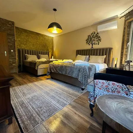Boyana & Relax Villa *
