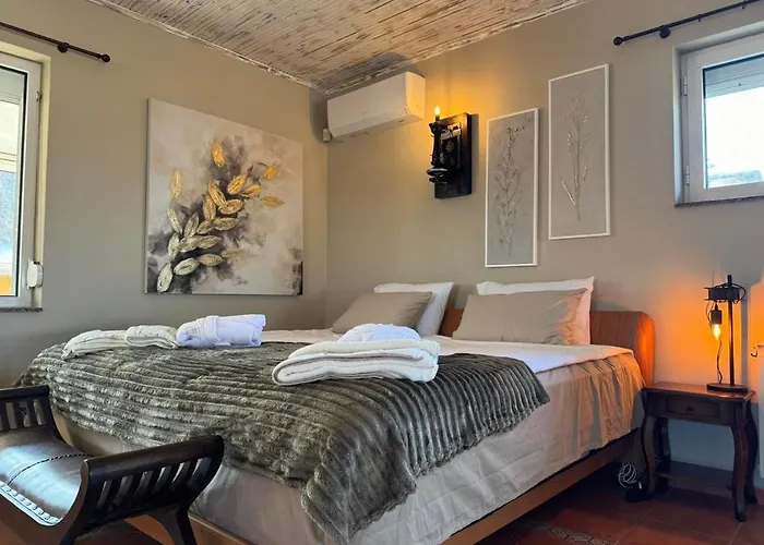 Boyana & Relax With Hot Jacuzzi And Sauna By Bookvillabg Villa Sofia